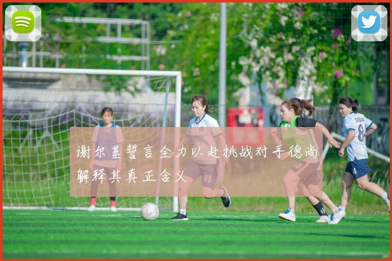 谢尔基誓言全力以赴挑战对手德尚解释其真正含义